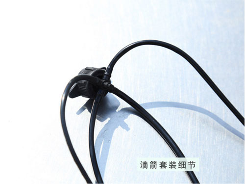 c鿴Ԕ(x)Ϣ(bio)}μb(x)(ji) xΔ(sh)2289